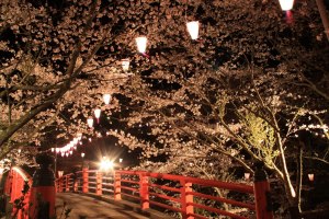 Suigo Omigawa Sakura Azalea Festival