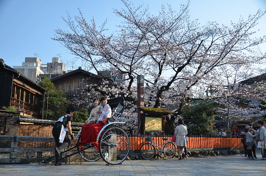 Top Places Can Ride Rickshaws in Japan
